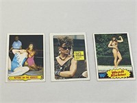 1985 WWF Wrestling Cards