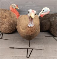 (3)Turkey Decoys