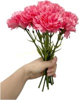 11Bouquets 10 Stem Carnations Outdoor UV