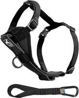 Kurgo KU00025 Tru-fit Dog Harness, Large, for Dogs