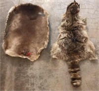 Raccoon & Beaver Pelts, 
Have been rolled up in