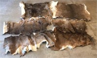 4?Tanned Deer Hides, 
All Are Partials/Halves