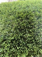 Artificial Grass 43.07 Sq. Ft. ( Pre-owned)