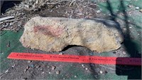 Large Decorative Garden Worm Rock / Fossilized