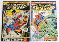 (2) THE AMAZING SPIDER-MAN COMIC BOOKS