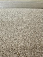 Medium to large roll of house carpet