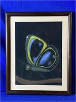 Framed Butterfly  Mixed Media Signed Lower Right