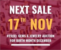 Next Auction #23(B): Saturday, Nov 17