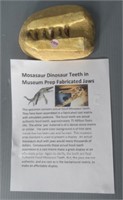 Mosasaur dinosaur teeth in museum prep fabricated