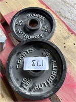 Two 10 pound weight plates