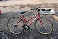 Schwinn Crossfit bicycle