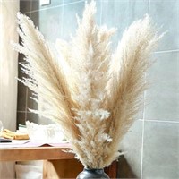 Natural Dried Pampas for Flower Arrangements