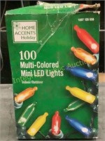 Home Accents 100 Multi Colored Mini LED Lights