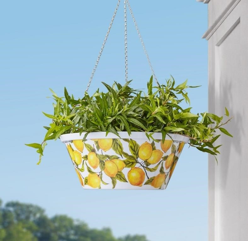 New 14in. Hanging Flower Pot