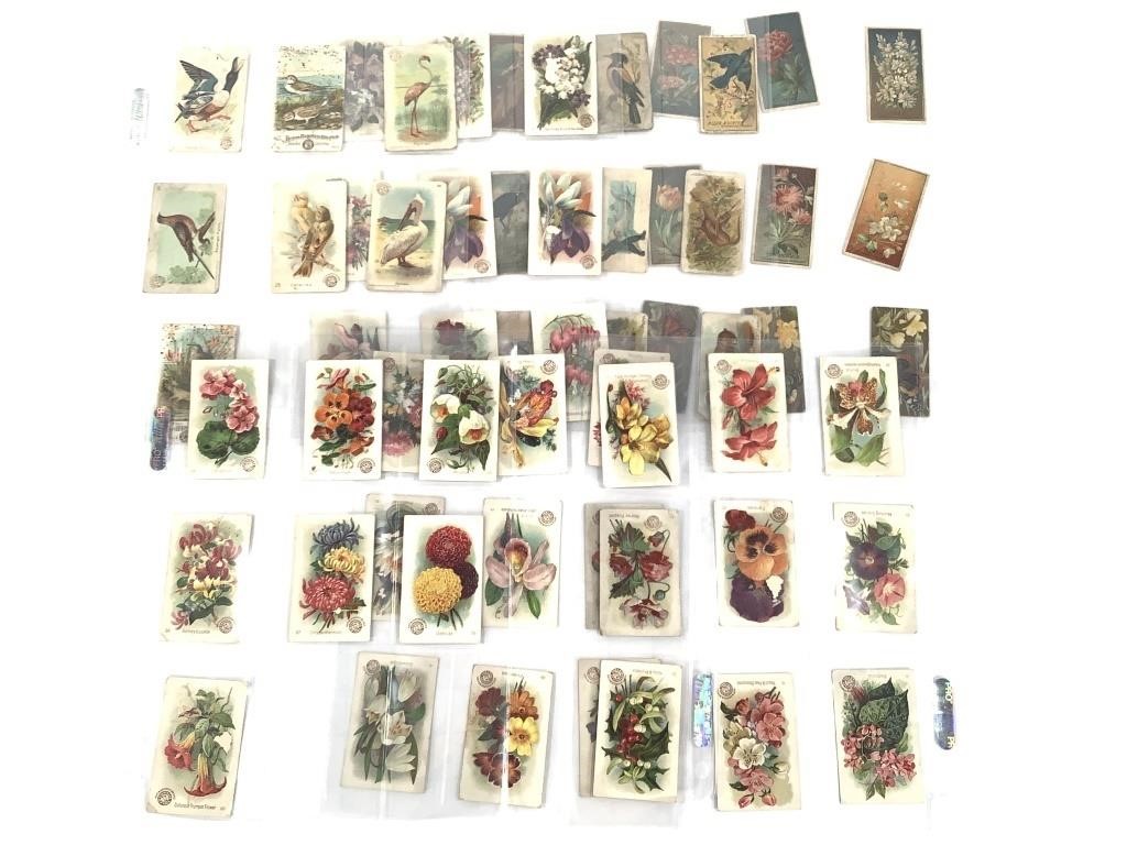 50+ Cigarette Cards, Arm & Hammer Flower, Birds