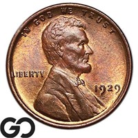 1929 Lincoln Wheat Cent, Gem BU RB Bid: 40