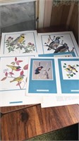10 Fenwick Lansdowne bird prints