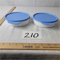 Small Tupperware Containers/Lids