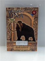 1/4 2024 Historic DNA Prime Wooly Mammoth Hair