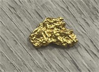 Alaska Gold Nugget #6