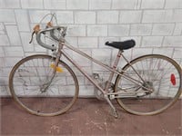 Vintage Roadking adult speed bike