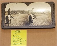 Old west cattle roundup stereoview card photo