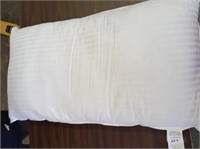 Large Gel Pillow