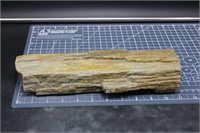 Petrified wood, 5 lb 2.8 oz