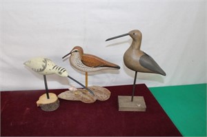 Shore Bird Collection / Chris Burnett