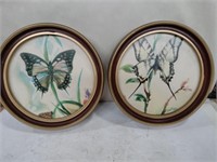 2 butterfly frame pictures 9 in round