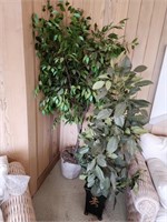 2 artificial large potted  plants or trees. Season