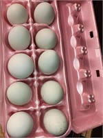 1-Doz crested cream leg bar hatching eggs