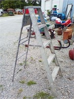 5ft metal ladder