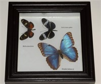 Framed 3 Butterfly Wall Art Piece 8.5 x 8.5