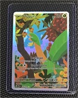 Pokémon card HOLO w/ case