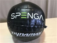 Dynamax medicine ball, small, 6 lb., 10 inches