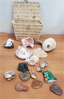 Basket With Sea Shells