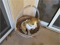 Watchdog in Basket