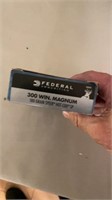 .300 Win Magnim ammunition