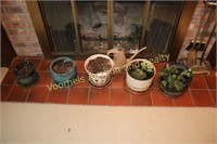 5 flower pots: some with African violets