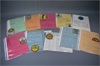 (11) ID Penn Laurel Girl Scout patches & requireme