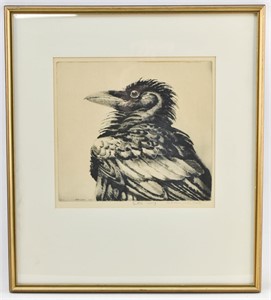 Emerson Tuttle Young Raven Drypoint Etching