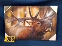 Elk Picture (Pick up Only)