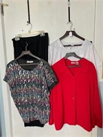 Women's Plus Size Pants and Blouses (4)