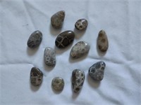 11 Petoskey Stones