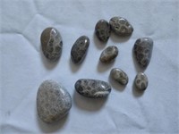 10 Petoskey Stones