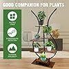 MIKHAEL 6 Tier Plant Stand