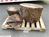 Black Walnut (?) Trunk / Stumps / Logs (No Ship)