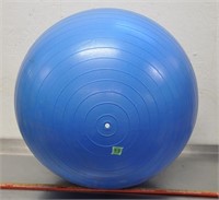 Exercise ball