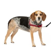 PetSafe Easy Walk Harness Red/Black Small/Medium